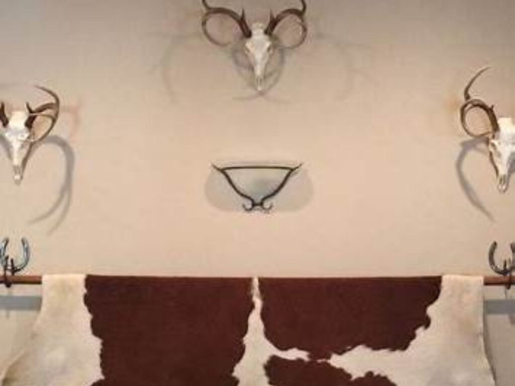 How to Hang Cowhide on the Wall